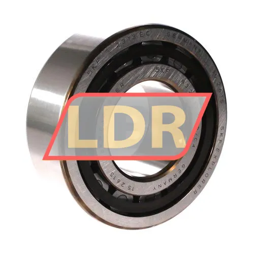 SKF NJ2313ECP/C4