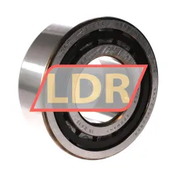 SKF NJ2313ECP/C4