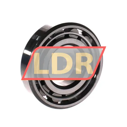RHP LRJ1-1/2J ürün fotoğrafı 2