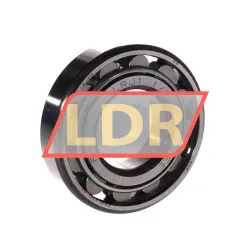 RHP LRJ1-1/2J