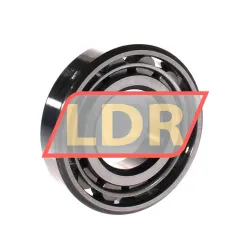 RHP LRJ1-1/2J rulman resim 2