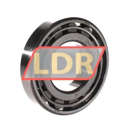 RHP LRJ2J