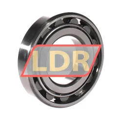 RHP LRJ2J rulman resim 2