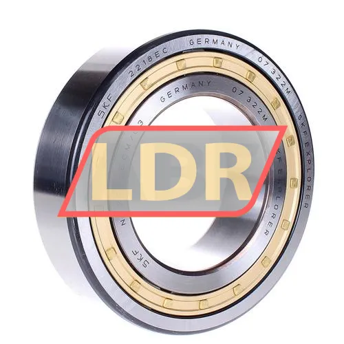 SKF NJ2218ECM/C3