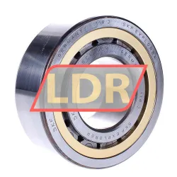 SKF NJ2313ECML/C4