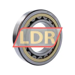 SKF NU222ECML/C3B20