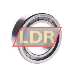 SKF NCF3010CV