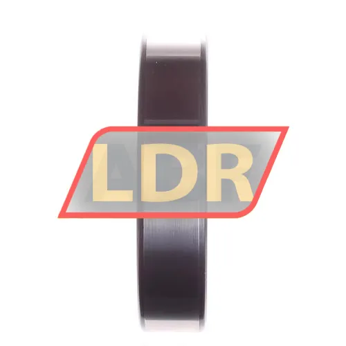 SKF LN209E ürün fotoğrafı 3