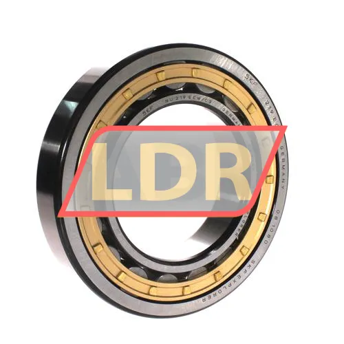 SKF NU219ECM/C3