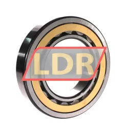 SKF NU219ECM/C3 rulman resim 2