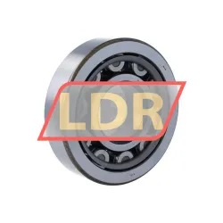 SKF SRV-NU410