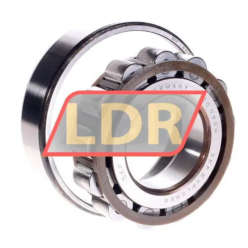 SKF N313ECP/C3 ürün fotoğrafı 2
