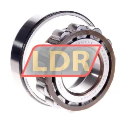 SKF N313ECP/C3 rulman resim 2