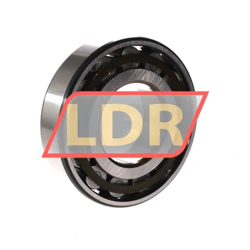SKF N313ECP ürün fotoğrafı 2