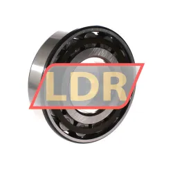 SKF N313ECP rulman resim 2