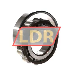 SKF N313ECP rulman resim 3