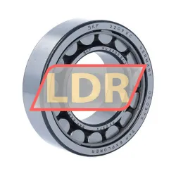 SKF NU2209ECJ/C3