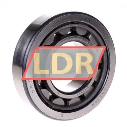 SKF NU310