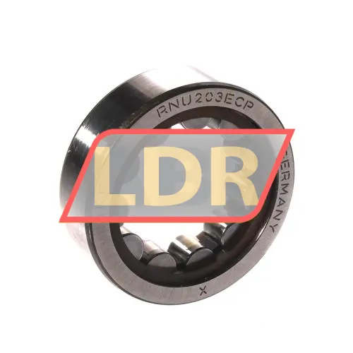 SKF RNU203ECP