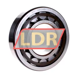 SKF NU319ECP/C3
