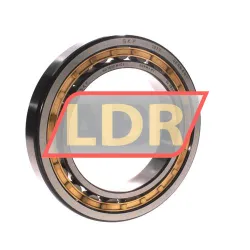 SKF NU1022M/C3