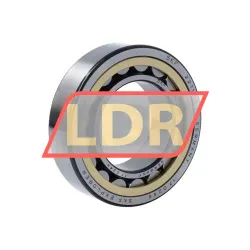 SKF NU2211ECML/C3
