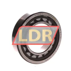 SKF NU210ECKP/C3