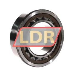 SKF NU2219ECP/C3