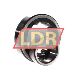 SNR NU310E G15 rulman resim 3