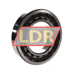 SNR NU220E G15 rulman resim 2
