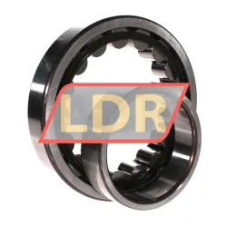 SNR NU220E G15 rulman resim 3