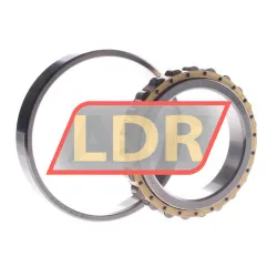 NKE N1018-M-SQ166-OEM rulman resim 2
