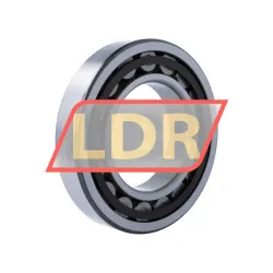 NSK NU220ET C3 rulman resim 2
