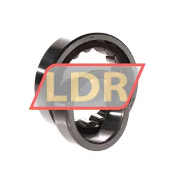NSK NJ2210ET C3 rulman resim 3