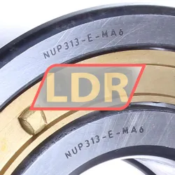 NKE NUP313-E-MA6 rulman resim 3