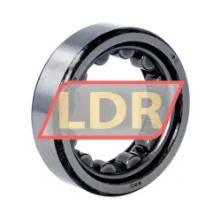 IBC Bearings RNU205