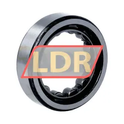 IBC Bearings RNU205 rulman resim 2