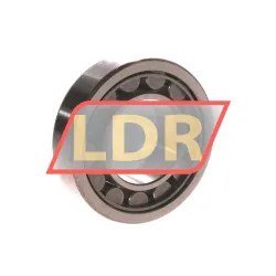 NSK NU206EWKC3 rulman resim 2