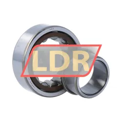 NSK NJ2206ET C3 rulman resim 3