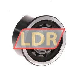 SNR NU2203E G15 rulman resim 2