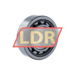 NSK NU2208W C3 rulman resim 2
