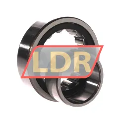 SNR NU2209E G15 rulman resim 3