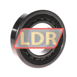 ZKL NU211 rulman resim 2