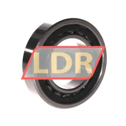 ZKL NU210 rulman resim 2