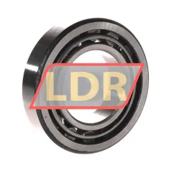 ZKL NU209 rulman resim 2
