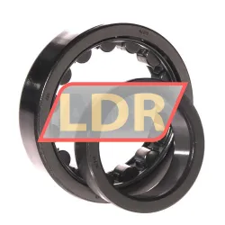 ZKL NJ210 rulman resim 3