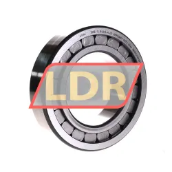 INA SL18-2216A C3