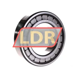 INA SL18-2216A C3 rulman resim 2