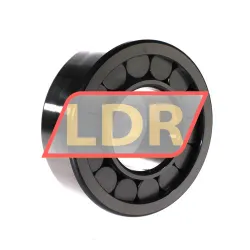 INA SL192315C3 rulman resim 2
