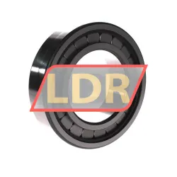 INA SL182218-A-XL-C3 rulman resim 2